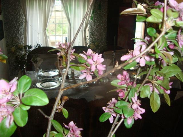 44 On Ennis Guest Lodge And Restaurant - No Load Sheddding Ermelo Zewnętrze zdjęcie